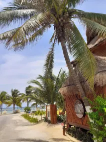 Cabañas Palmeras de Mahahual - Rezeption
