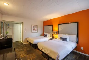 Hotel Royal Oak - Room