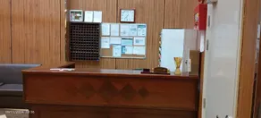 Olyaan Silver  - Recepción