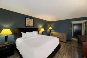 Clarion Hotel San Angelo near Convention Center - Chambre