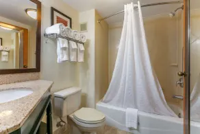 Comfort Inn Chattanooga Downtown Southside - Salle de bain