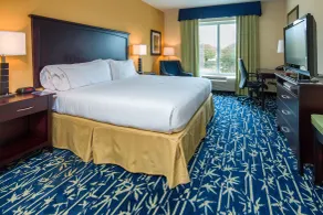 Holiday Inn Express Hotel & Suites Orlando - Apopka by IHG - Room