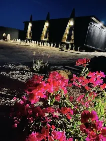 Finca Cazosa - Udsigt fra værelset