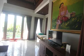 Ubud Paradise Villa - View from room
