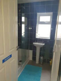 Llwynygog Guest House - Salle de bain