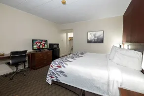 Red Roof Inn & Suites Hazleton - Chambre