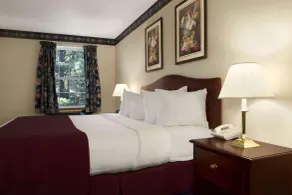 Days Inn by Wyndham Grayling - Chambre