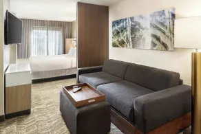SpringHill Suites by Marriott Atlanta Six Flags - Chambre