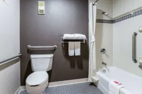 Econo Lodge Gainesville Downtown Area - Salle de bain