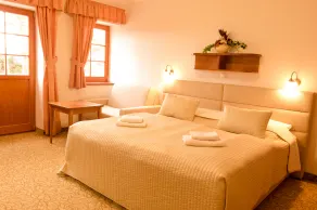 Hotel VÍTKOVA HORA - Room