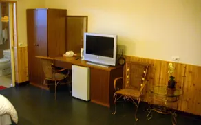 Hoya Spa Hotel - Room