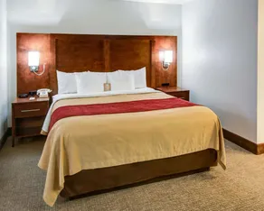 Comfort Inn Redding Near I-5 - Chambre