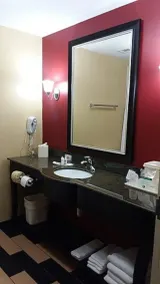 Comfort Suites Kingsport South - Salle de bain