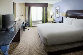 Hilton Garden Inn Raleigh-Durham Airport - Chambre