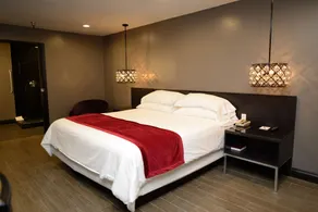 Hotel Le Reve Pasadena - Vue de la chambre