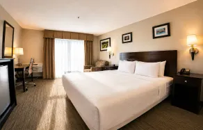 The Volare, an Ascend Collection Hotel - Camera