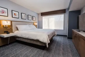 Hilton Garden Inn Atlanta Marietta - Chambre