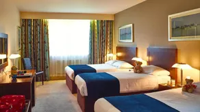Ballyroe Lodge - Chambre