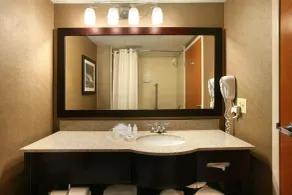 Wingate by Wyndham Garner/Raleigh South - Salle de bain