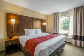 Comfort Suites Fishkill near Interstate 84 - Chambre