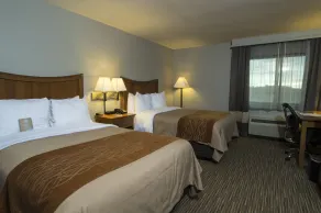 Comfort Inn South - Springfield - Chambre