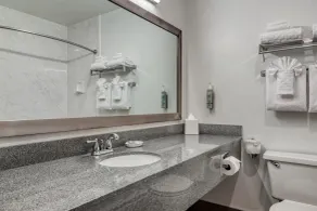 Best Western Seattle Airport Hotel - Badrum