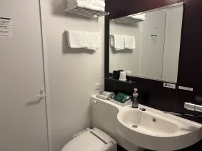 Hotel Route Inn Aichi Togo - Badrum