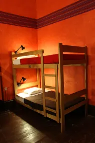 KACLLA, The Healing Dog Hostel - Room