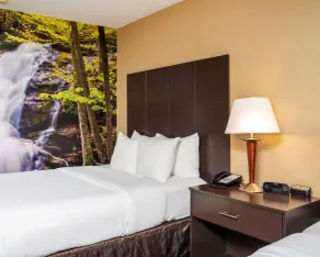 Clarion Pointe Harrisonburg - Chambre