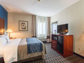Comfort Inn Decatur Priceville - Chambre