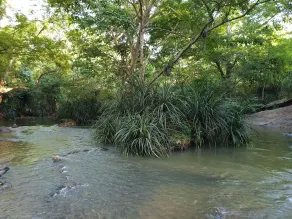 Jungle House - Vistas desde la habitación