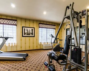 Comfort Inn & Suites Lawrence - University Area - Salle de remise en forme