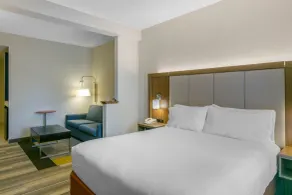 Holiday Inn Express Mount Arlington by IHG - Chambre