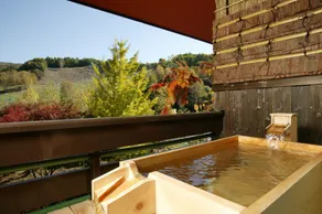 Okutone Onsen Hotel Sunbird - Værelse