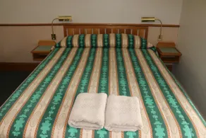 Hermitage Motel - Room
