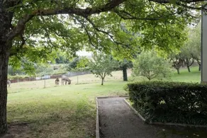 Hôtel Restaurant L'Artière - Udsigt fra værelset
