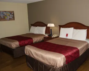 Econo Lodge Lexington Downtown near I-81 - Chambre