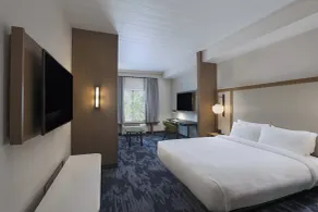 Fairfield Inn and Suites by Marriott St Louis Downtown - Chambre
