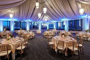 The Citizen Hotel, Autograph Collection - Réception