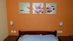 Le cactus guesthouse - Værelse