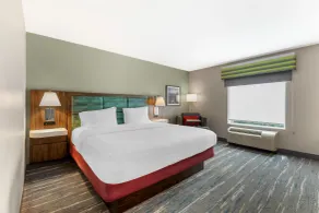 Hampton Inn & Suites Atlanta Airport West/Camp Creek Pkwy - Værelse