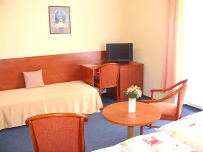 Hotel Morava - Room
