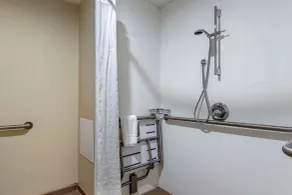 Comfort Inn Near Greenfield Village - Salle de bain