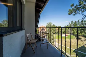 Titova vila Zlatibor Nika - Vistas desde la habitación