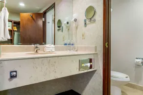 Quality Inn Monterrey La Fe - Salle de bain