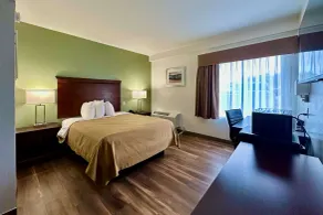 Quality Inn & Suites Albany Airport - Chambre