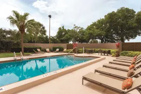 Embassy Suites by Hilton Orlando International Dr ICON Park - Piscine