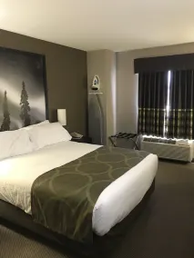 Super 8 by Wyndham Prince Albert - Chambre