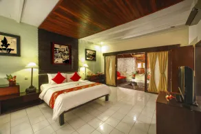 Bali Taman Beach Resort & Spa Lovina - View from room