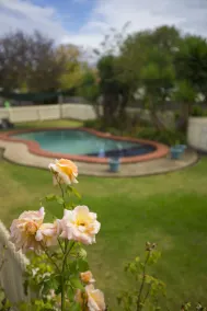 Rose Garden Motel - Pool